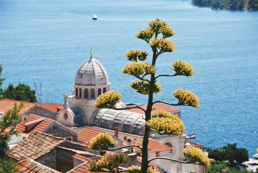 Apartman Sara Apartment Šibenik Екстериор снимка