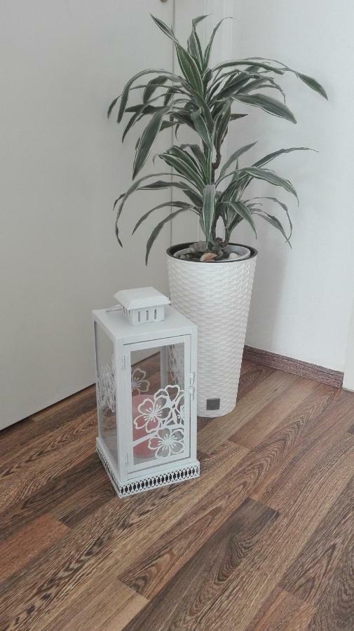 Apartman Sara Apartment Šibenik Екстериор снимка