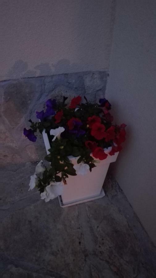 Apartman Sara Apartment Šibenik Екстериор снимка